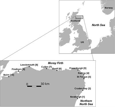 Monitoring Plastic Beach Litter by Number or by Weight: The Implications of Fragmentation